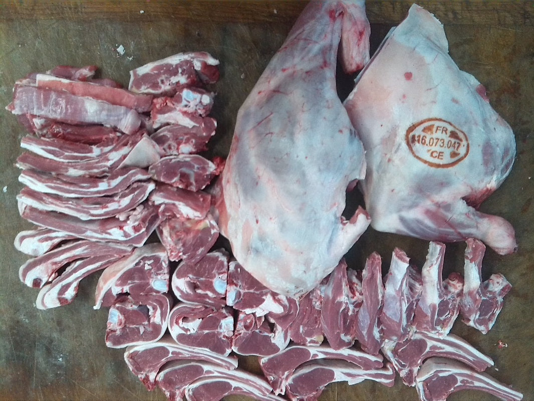 Lamb