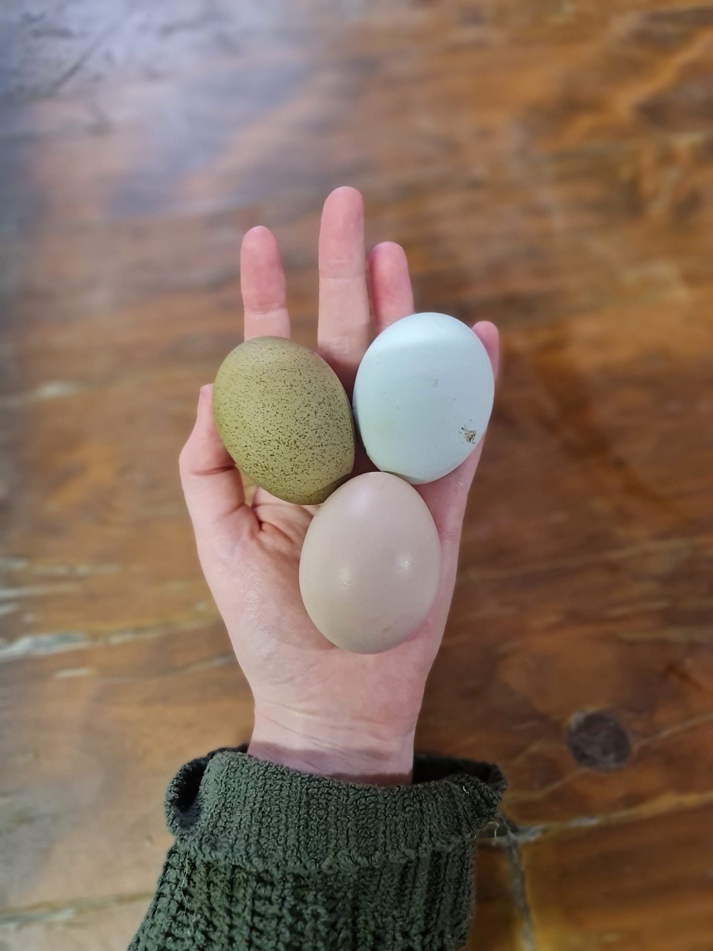 Eggs